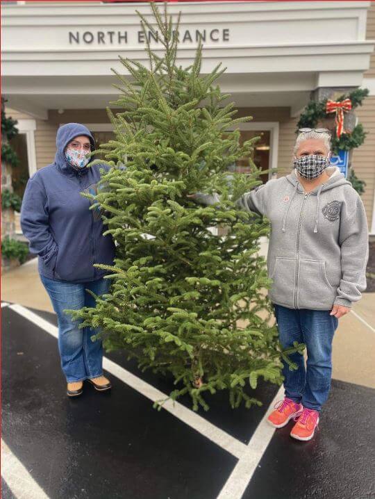 HOLIDAY TREE GIVEAWAY 2020