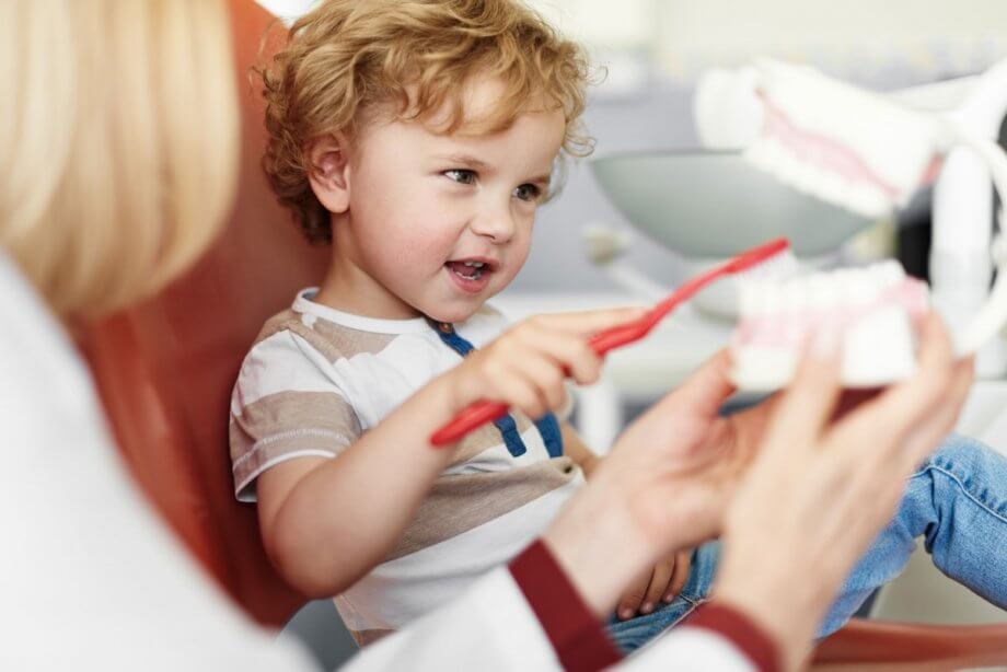 dentist showing toddler how to use a toothbrush on a model of teeth